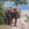 Jim Corbett